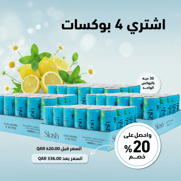 الرئيسية slash box 4